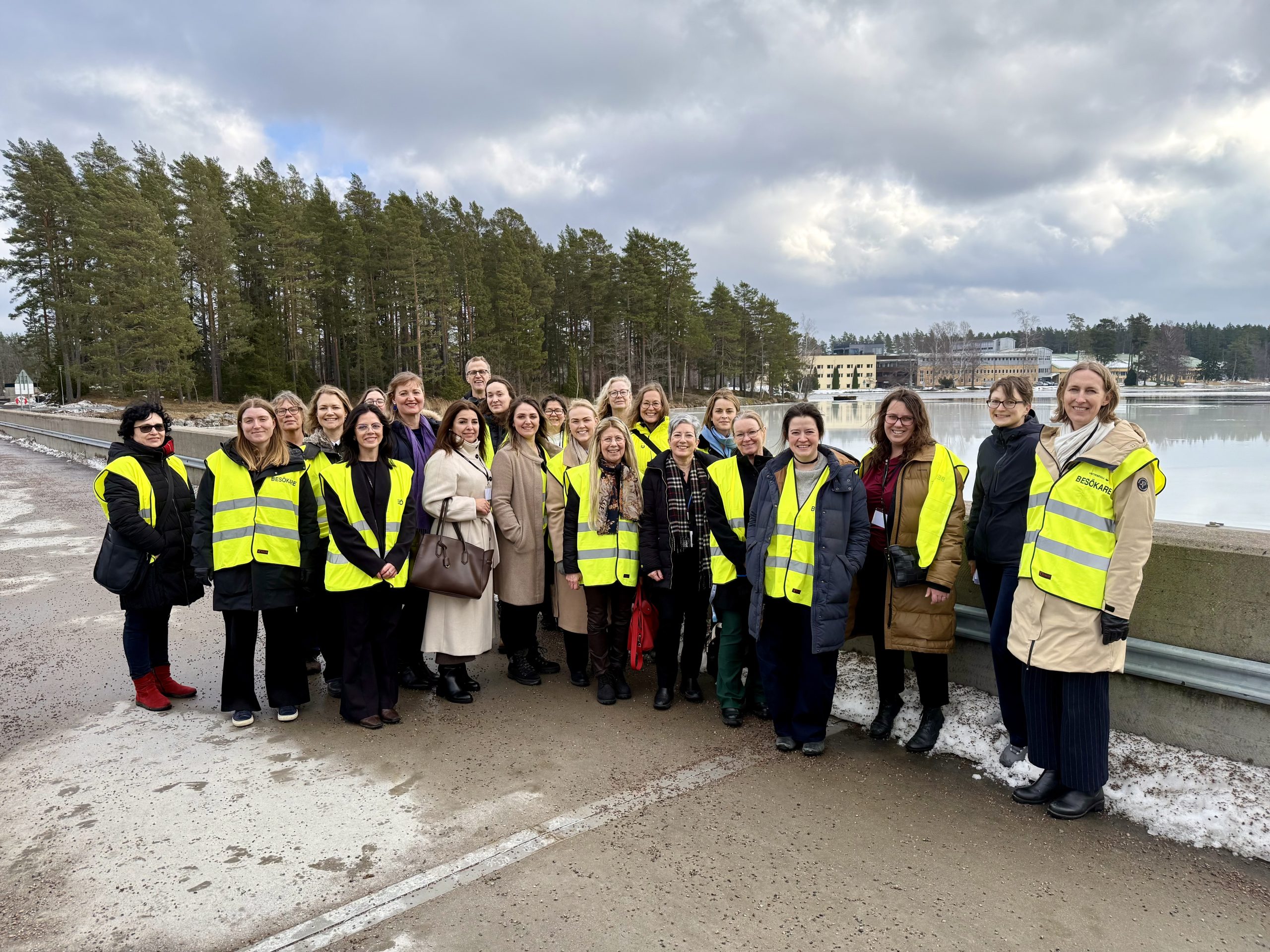 Cigre Women in energy